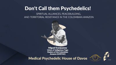 Don't Call them Psychedelics!